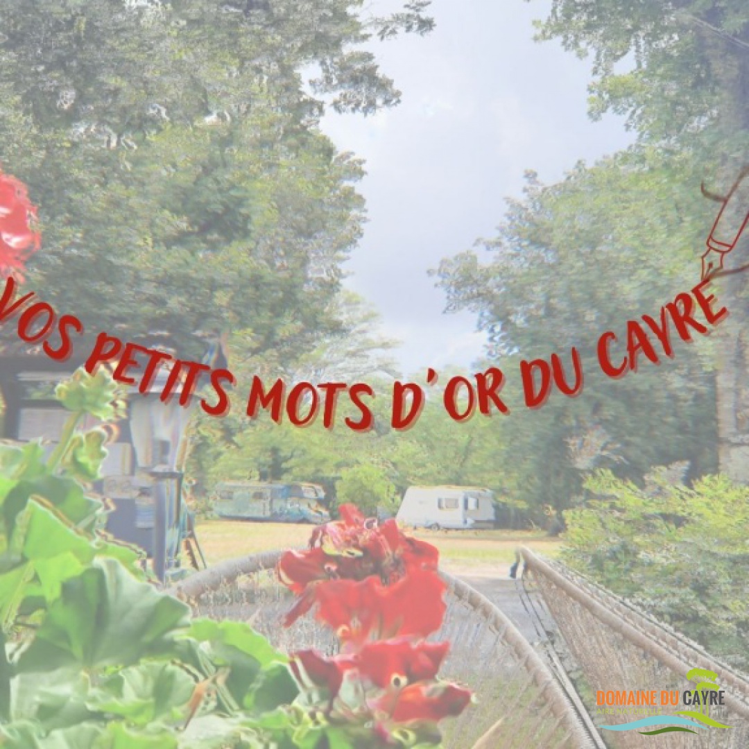 VOS PETITS MOTS En OR ! 